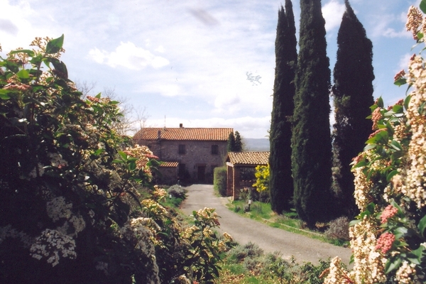 casale e parte del giardino - Schiera Bifamiliare Terni (TR) MONTELEONE D-ORVIETO 