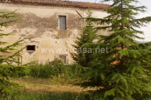 p6270009 - Unifamiliare Casa singola Pesaro (PU)  