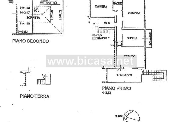 whatsapp image 2022-03-10 at 11.52.11 (7) - Schiera di testa Pesaro (PU) CANDELARA, CANDELARA 