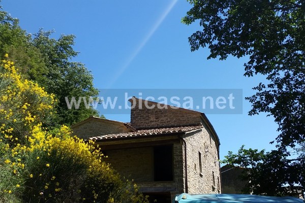 20200701_112804 - Rustico Casolare Cascina Sant'Angelo in Vado (PU)  