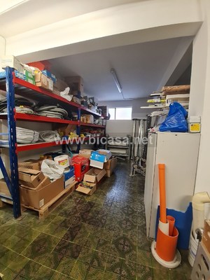 whatsapp image 2023-04-29 at 11.03.25 - magazzino Pesaro (PU) CENTRO CITTA, CENTRO 