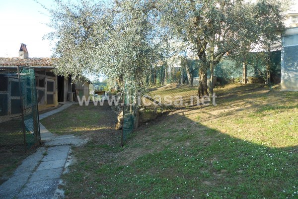 dscn6963 - Unifamiliare Casa singola Pesaro (PU) Novilara 