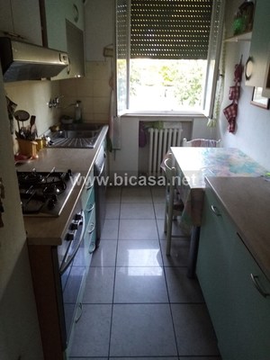 whatsapp image 2022-05-13 at 11.59.53 - Appartamento Pesaro (PU) BORGO SANTA MARIA, BORGO SANTA MARIA 
