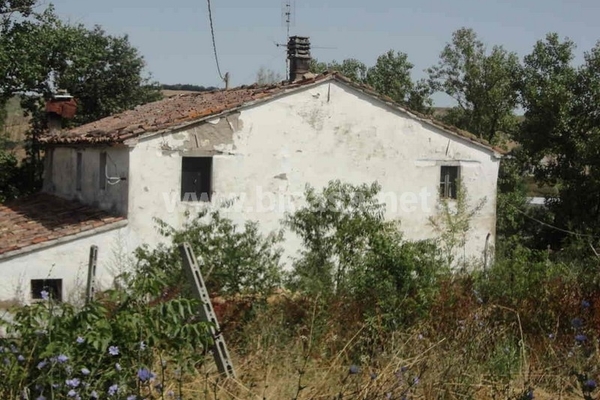 dsc07053 - Unifamiliare Casa singola Petriano (PU) GALLO, PONTE ERMELLINA 