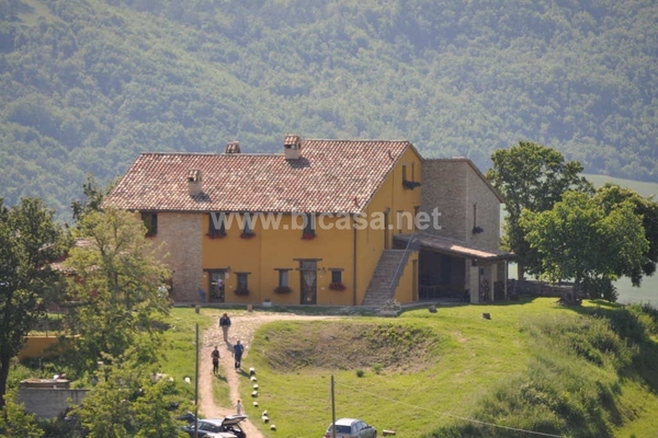 csc_8992 - Unifamiliare Casa singola Urbino (PU) PIEVE DI CAGNA, PIEVE DI CAGNA 