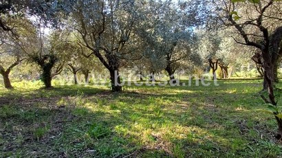 terreno Pesaro (PU) CENTRO CITTA, TREBBIANTICO